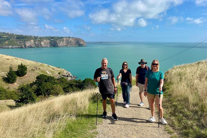Lyttelton Shore Excursion: Godley Head Coastal Hike with Picnic - Photo 1 of 25